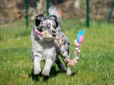 pletený králik s flísom